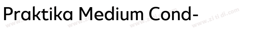 Praktika Medium Cond字体转换